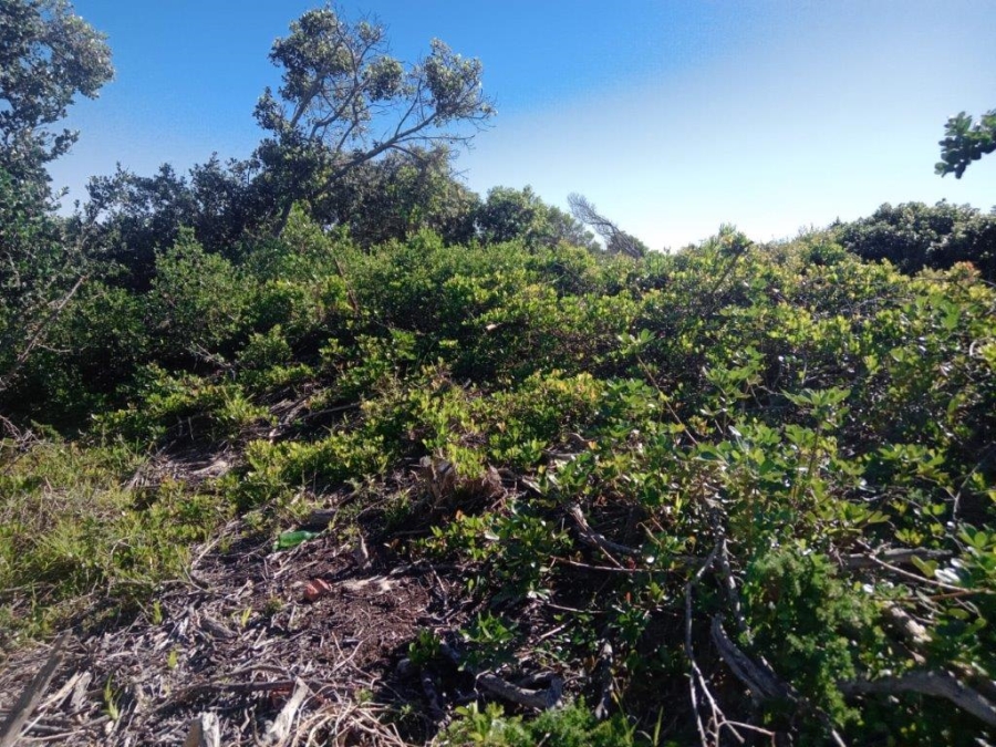 Commercial Property for Sale in Paradise Beach Eastern Cape